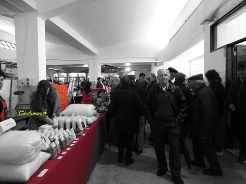 Feira do Queijo Em Seia !!! 153.jpg