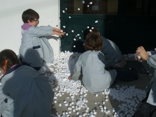 neve2.jpg