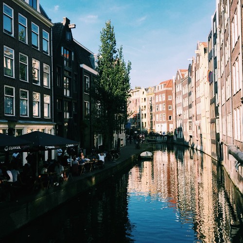 IMG_8284.JPG IMG_8284.JPG