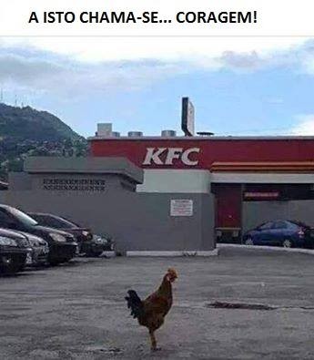 13015291_1687197841531292_6834996744789460993_n.jp