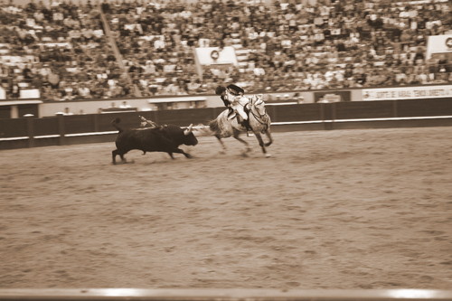 6Toiro MBastinhas.JPG