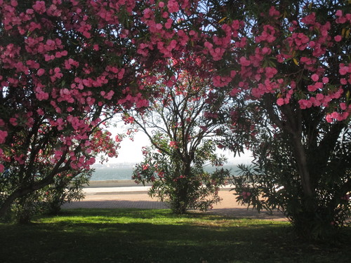 a1 de agosto 002.JPG