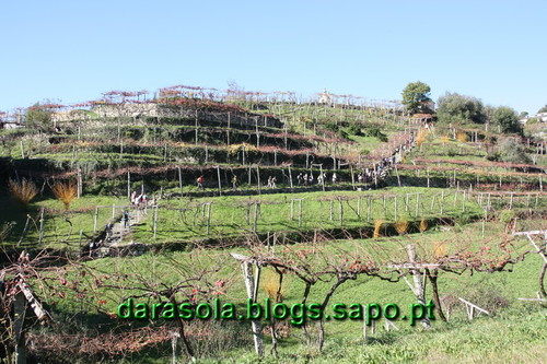 Trebilhadouro_31.JPG
