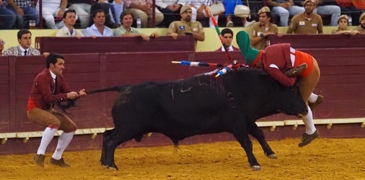 Daniel Batalha-Grupo de Lisboa-21.07.2022-C.Pequen