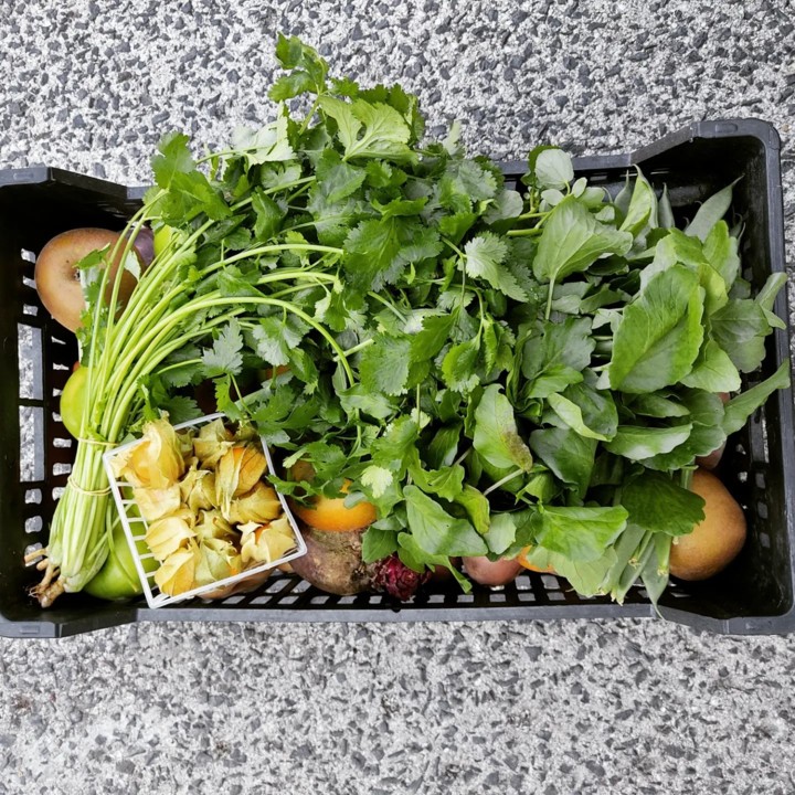 272582965_2220941711378911_8053580748180547214_n.j