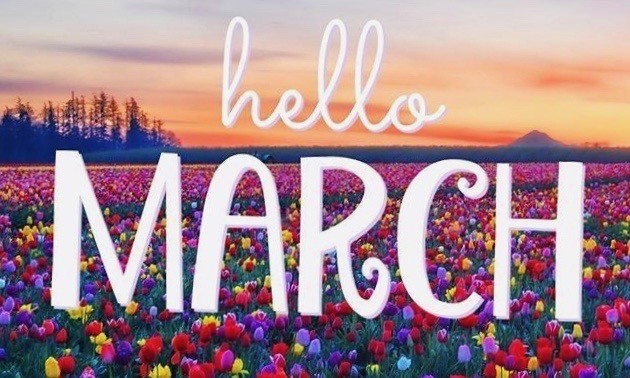 1Mar.jpeg