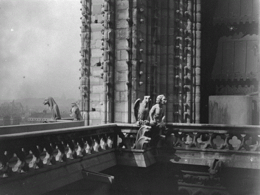 notre dame4 gisa.GIF