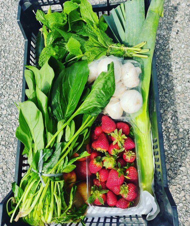 432447347_796443482513064_6097426191081952621_n.jp