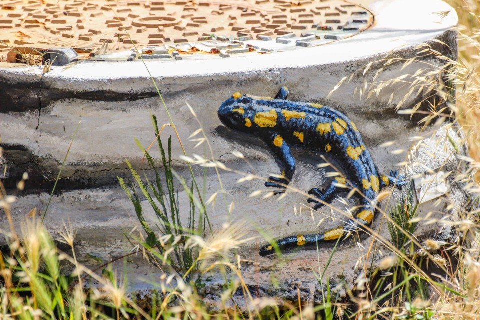 trilho das vinhas-4.jpg