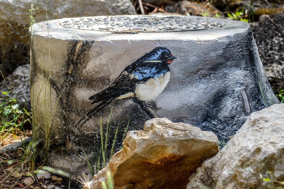 trilho das vinhas-32.jpg