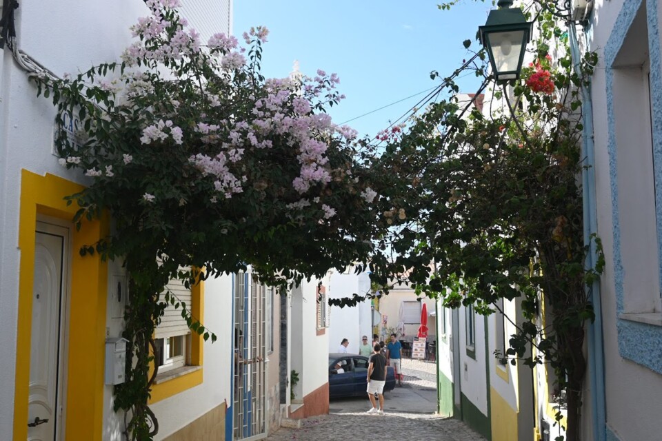 Não me canso disto ferragudo3.JPG