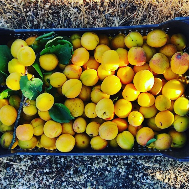 285462032_2329486347191113_834511163358409637_n.jp