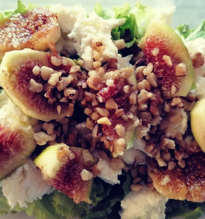 537594815_18495350005066958_7808328520201134024_n.