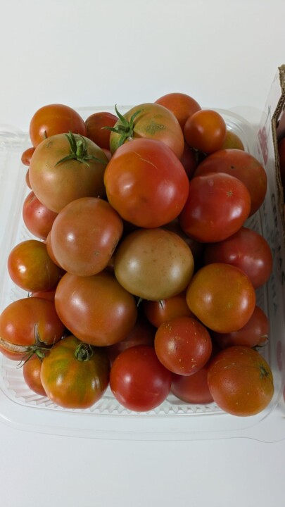 Imagem WhatsApp 2025-09-22 às 18.34.02_a56e8233.j