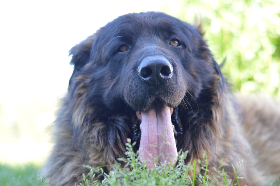 NoJardim_Mar17 (33).JPG