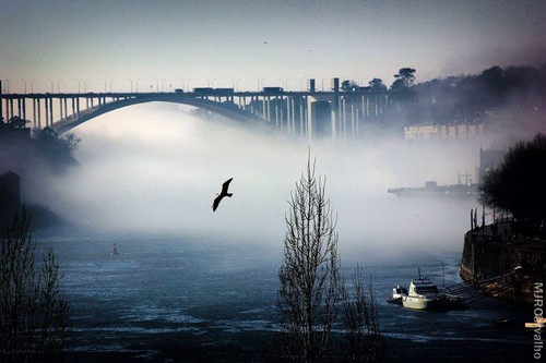 A ponte, a neblina...