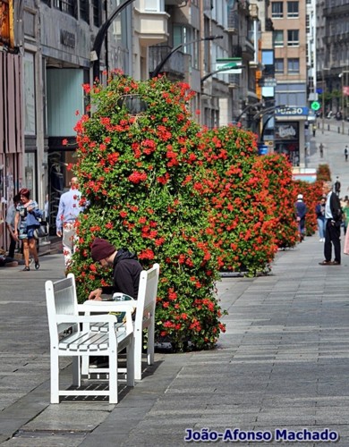 RUA DO PRINCÍPE.JPG RUA DO PRINCÍPE.JPG