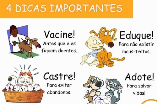 11224364_1673051329620159_8790098481890823419_n.jp