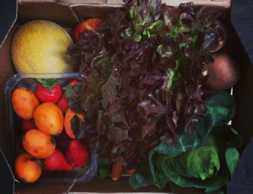 32089172_1093113224161771_1458903268355735552_n.jp 32089172_1093113224161771_1458903268355735552_n.jp