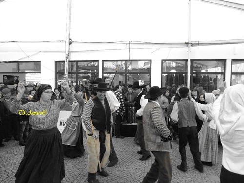 Feira do Queijo Em Seia !!! 540.jpg