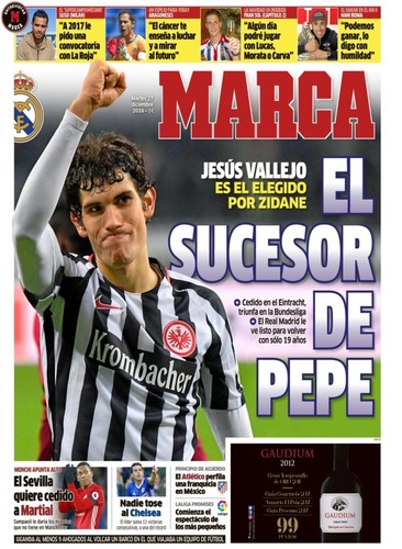 marca.jpg