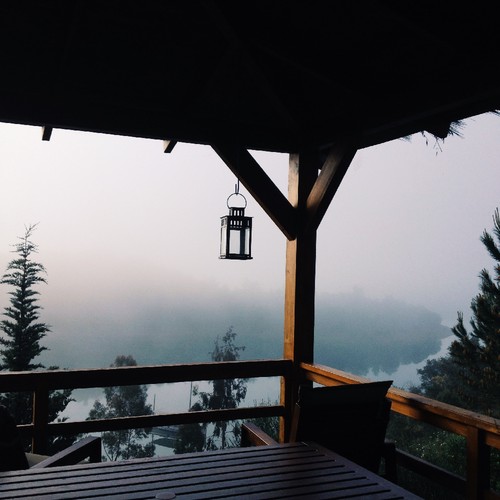 IMG_4770.JPG IMG_4770.JPG