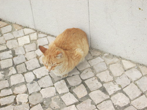 IMG_3702.JPG IMG_3702.JPG