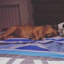 12105847_10206552821873838_5745988187895205535_n.j 12105847_10206552821873838_5745988187895205535_n.j