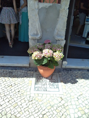 Aveiro 129.JPG Aveiro 129.JPG