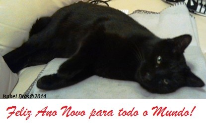 antonio_3.jpg antonio_3.jpg