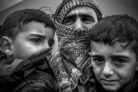 iraque, 2014, erbil,campo de refugisdos sírios e 