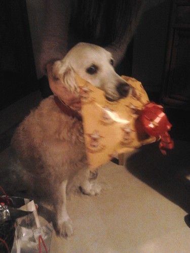 2014-12-25 00.08.54.jpg