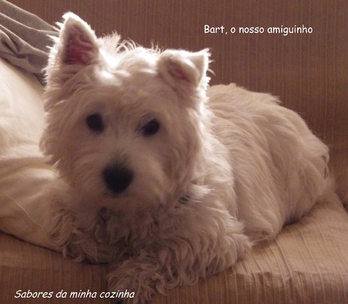 IMGP4022-Bart-Blog 1.jpg IMGP4022-Bart-Blog 1.jpg