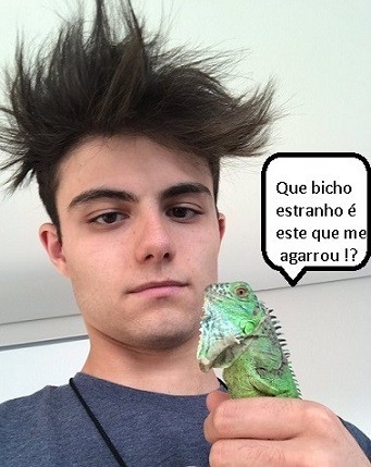 iguana.jpg iguana.jpg