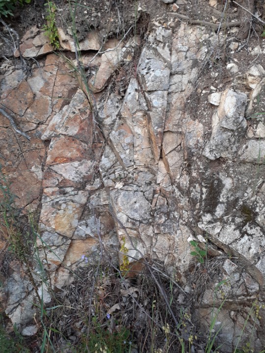 Estrutura dos terrenos. Foto original. 2021.05.11.jpg