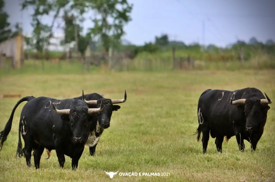 Sem título-4-05.png