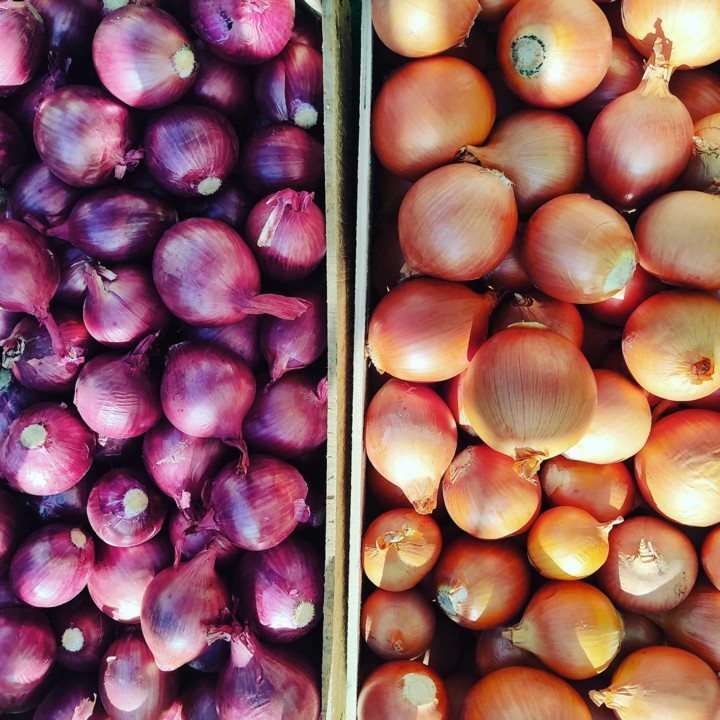 126229412_1879388592200893_2313849210943744067_o.j