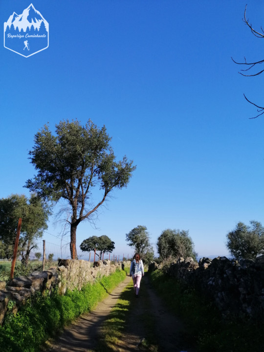 Photo_1583863876506.jpg Photo_1583863876506.jpg