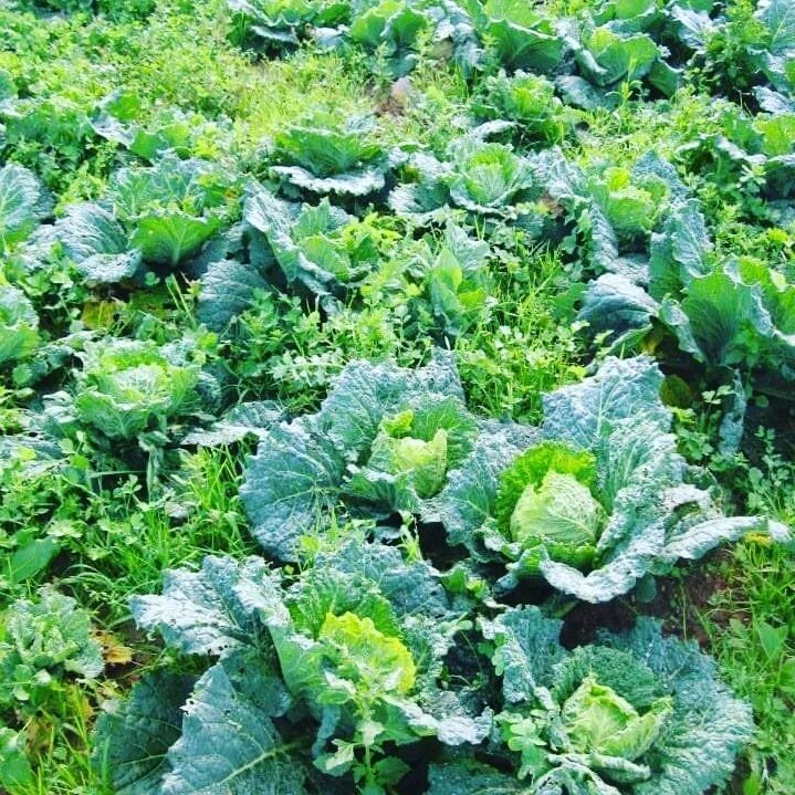 337282210_767292554750655_6517836595843637654_n.jp