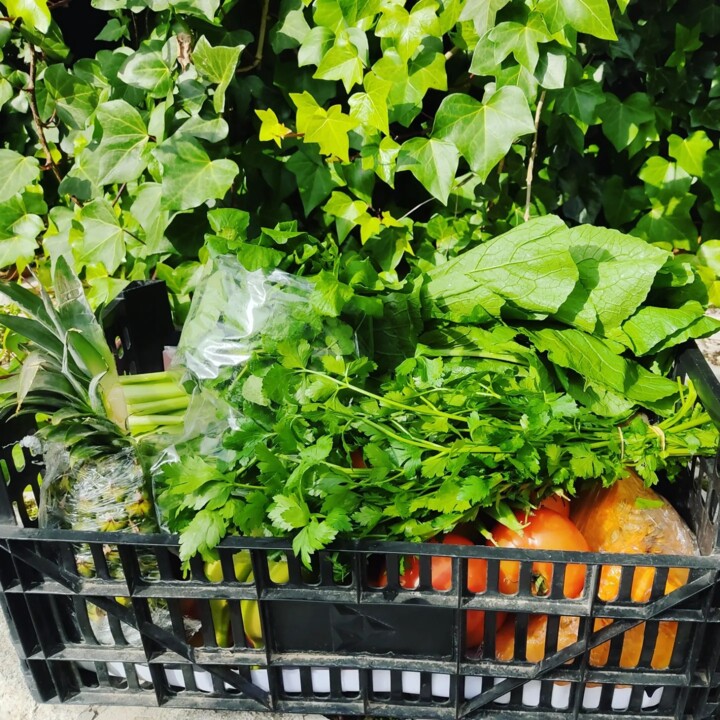 421423836_763288082495271_2258681850150875615_n.jp