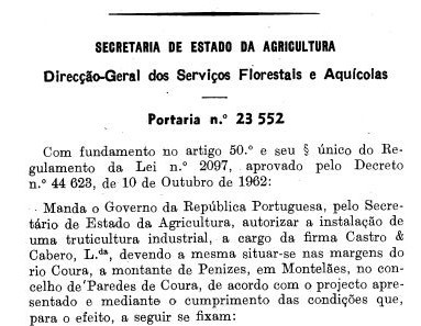 CapturarTRUTA1 (2).JPG