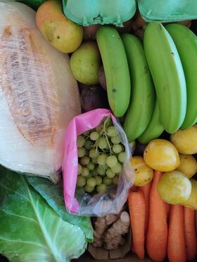 296106969_1190635918385561_7463506343467118297_n.j