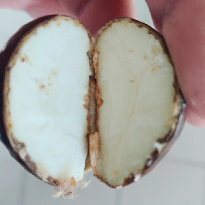 396702538_714762617347818_2307159976884331582_n.jp