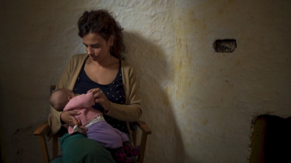 90bec525-b2c1-42a0-876f-63173fcdcb2f.jpg.crdownloa