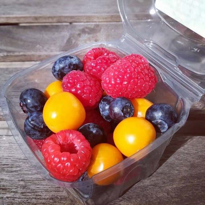 88218261_1628286377311117_5566752067768287232_o.jp