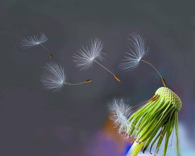 Nascemos para ser escolhidos, e vivemos para escol