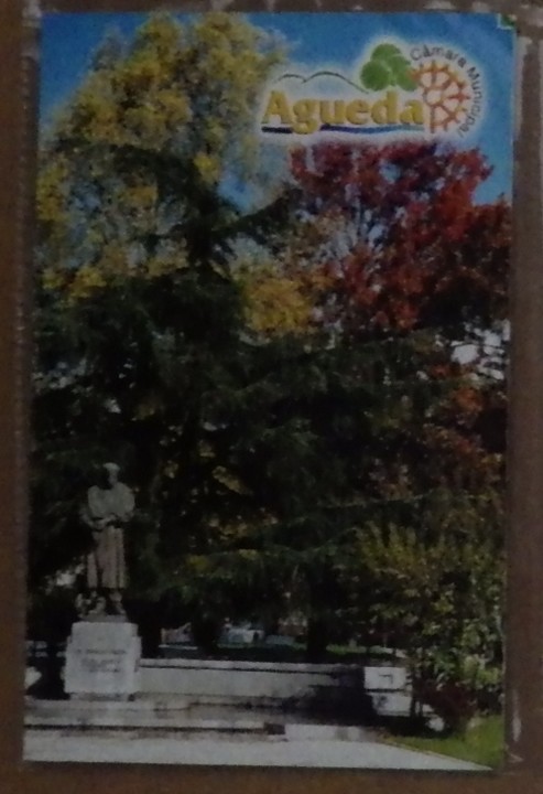 calend_2001_cm_agueda_jardim_conde_sucena (1).JPG