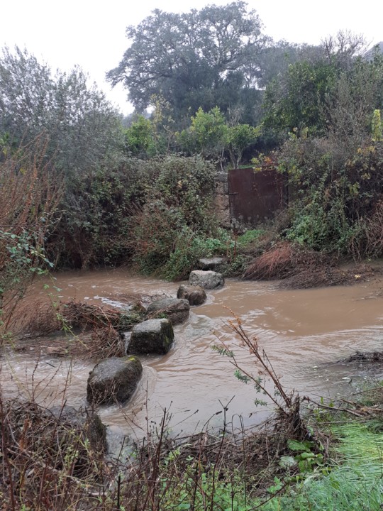 Passadeiras Porcozunho. Foto Original. 2021.10.31.jpg