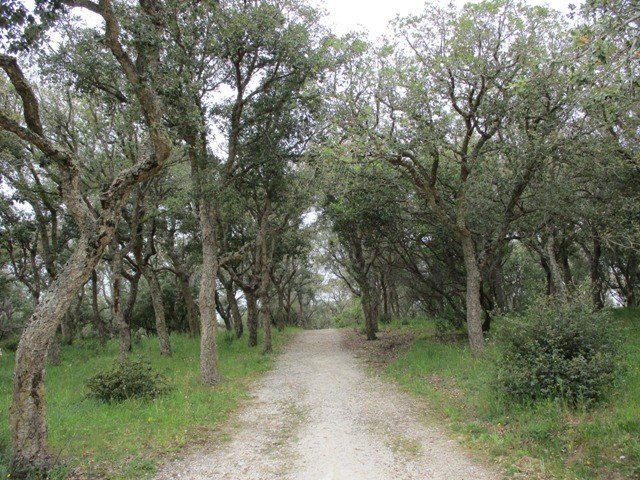 169069111_3773443446104266_7251794135866766615_n.j