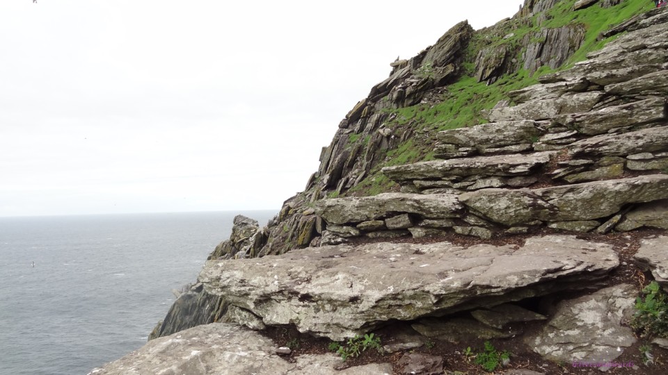 DSC06987.JPG DSC06987.JPG